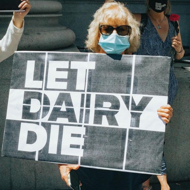 Profile Picture of priscilla browne (@whimsicott4) on Tiktok