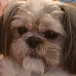 Profile Picture of Dixie Llewellyn (@dixie.llewellyn.2025) on Facebook