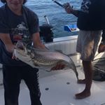 Profile Picture of Nicholas Leonardi (@fishing_king_16) on Instagram