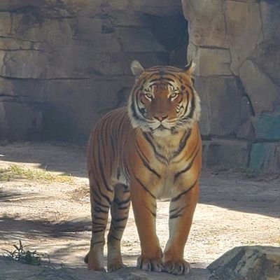 Profile Picture of Eric Weiland (@EricWeiland7) on Twitter