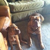 Profile Picture of Sophie Keller (@sophie-keller-2) on Quora