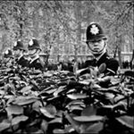 Profile Picture of Brian McInerney (@mcinerney.brian) on Instagram