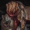 Profile Picture of paultolson457 (@paultolson457) on Tiktok