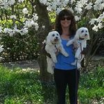 Profile Picture of Joni Dropkin (@jonidropkin) on Instagram