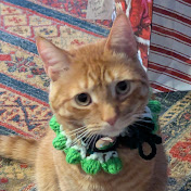 Megan Bricker - Youtube Profile Picture of Megan Bricker (@meganko22) on Youtube