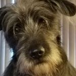 Profile Picture of Kimberly Summers-Feigel (@summersfeigel) on Instagram