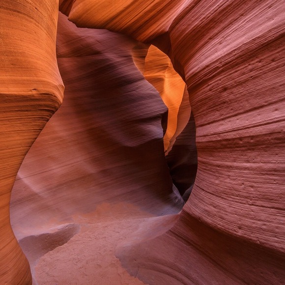 Profile Picture of John Choi (@jcark) on Poshmark