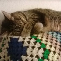 Profile Picture of Essie Walker (@essie-walker) on Quora