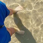 Profile Picture of Daniel Röhlinger (@daniel_von_roehlinger) on Instagram