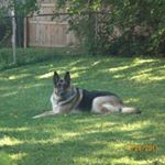 Profile Picture of David Westrich (@david.westrich) on Instagram