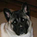 Profile Picture of Sharon S (@shewolf_06340) on Flickr