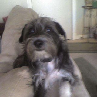 Profile Picture of Jim Rittenberry (@jim.rittenberry) on Facebook