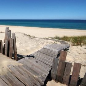 Profile Picture of Vicky Ouellette (@vickyao) on Pinterest