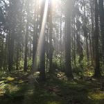 Profile Picture of Alexander Adam (@alexander.adam1975) on Instagram