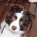 Profile Picture of Adam Mathers (@adamm7548) on Pinterest