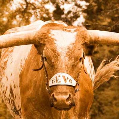 Profile Picture of Zach Crane (@ZCrane00) on Twitter