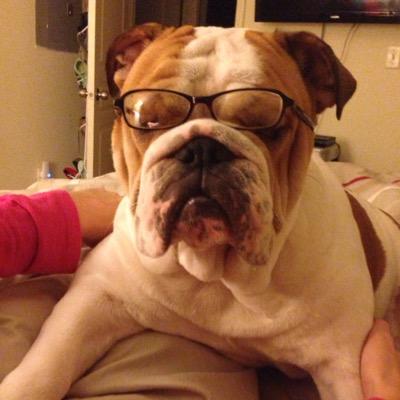 Profile Picture of Jesse Blalock (@jlockrx) on Twitter