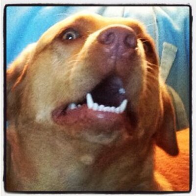 Emma Poynter - Twitter Profile Picture of Emma Poynter (@EmmaPoynter) on Twitter