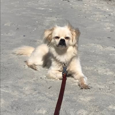 Profile Picture of Joe Eno (@JoeEno3) on Twitter