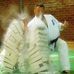 Profile Picture of Tomaszowski Klub Kyokushin Karate (@tomaszowskiklub.kyokushinkarate) on Facebook