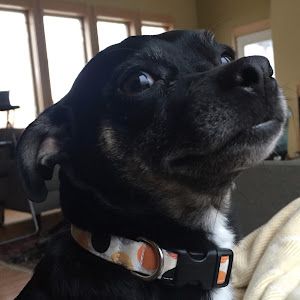 Profile Picture of Ann Heiser (@ann.heiser) on Tiktok