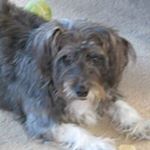 Profile Picture of Wanda Boyer (@studioarthawaii) on Instagram