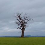 Profile Picture of Declan Kavanagh (@declan5488) on Instagram