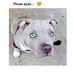 Profile Picture of Joseph Catalán (@joseph.catalan.90834) on Facebook