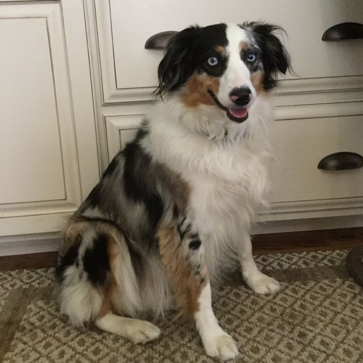 Profile Picture of Lea Shull (@lea.shull) on Tiktok