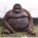 Profile Picture of Jason Dudding (@dudding0326) on Pinterest