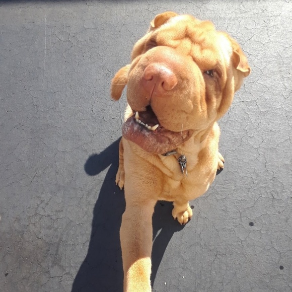 Profile Picture of Jordyn Rae (@jdevil_13) on Poshmark