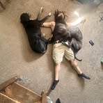 Profile Picture of Andrew Kelley (@andrew.kelley.549543) on Facebook