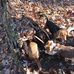 Profile Picture of Chris Fagan (@chris.fagan.5667) on Facebook