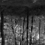 Profile Picture of Dominic (@killianwadenh) on Instagram