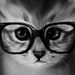 Profile Picture of Jose Antonio Laurente Arce (@jlaurentearce) on Pinterest