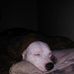 Profile Picture of Michael Yingling (@michael.yingling.583) on Facebook