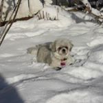 Profile Picture of Marc Charest (@marc.charest.3) on Instagram