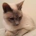 Profile Picture of Diane Bagwell (@diane.bagwell.35) on Facebook