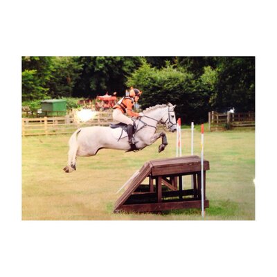 Profile Picture of Dina Hudson (@dina_eventing) on Twitter