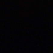 Profile Picture of Brian Danner (@DannoSnipe) on Youtube