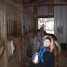 Profile Picture of Pamela Wirkus (@barakasmom) on Pinterest