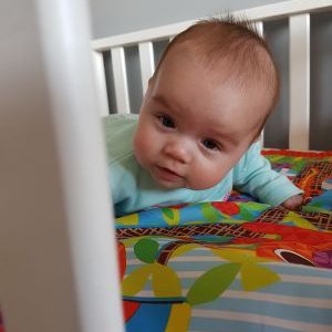 Profile Picture of Mike Hoogland (@HooglandMike) on Twitter