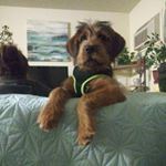 Profile Picture of Keith Everts (@keitheverts) on Instagram