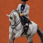 Profile Picture of Allevamento Excalibur PRE di Claudio Coelli (@excalibur_pre) on Instagram