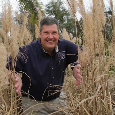 Profile Picture of Tom Wichman (@cycadking) on Twitter