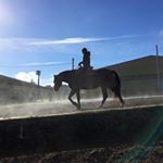 Profile Picture of Danielle Pike (@dani_eqservices) on Instagram