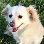 Profile Picture of lilliancarlson77 (@lilliancarlson77) on Instagram