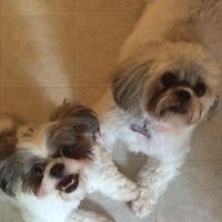 Profile Picture of Shannon Gonzalez (@shannon-gonzalez-3) on Quora