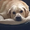 Profile Picture of Jonathan Dumont (@jonathandumont12) on Tiktok
