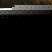 Yolo - Myspace Profile Picture of Yolo (@poepvlekje) on Myspace